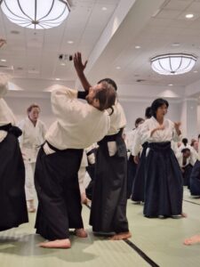 Two aikidoists practicing