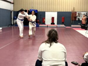 Aikidoka demonstrate techniques