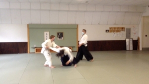 people doing aikido