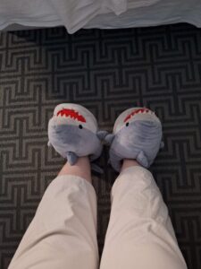 Shark Slippers